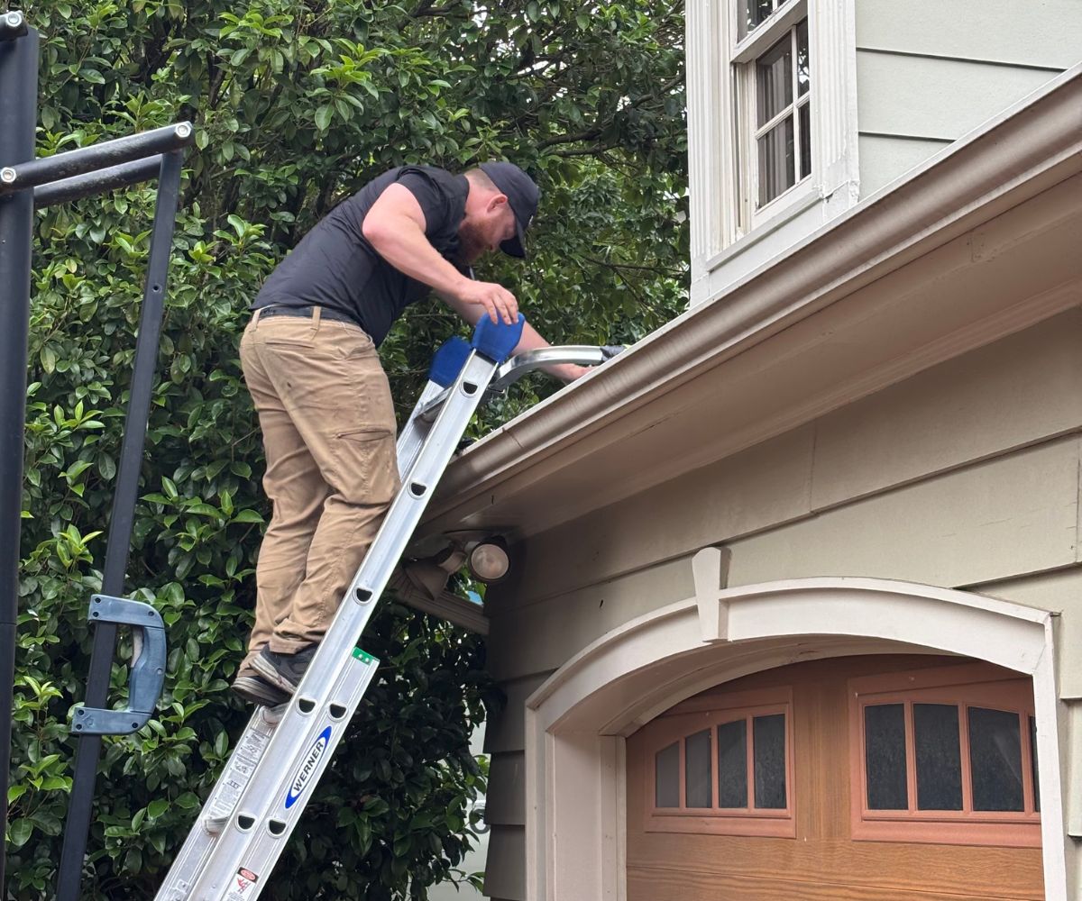 Gutter Cleaning (3)