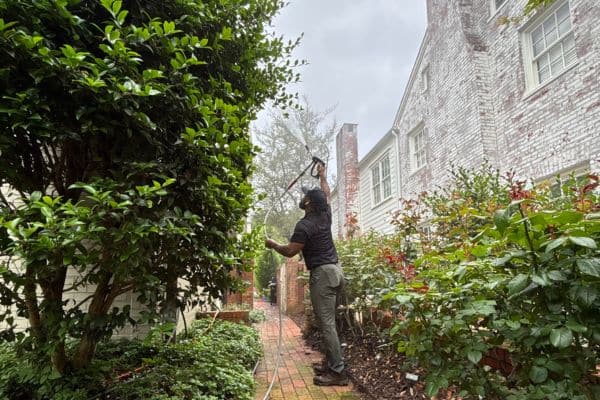 Soft Washing 10 Eco-friendly soft wash treatment for painted siding in Huntersville